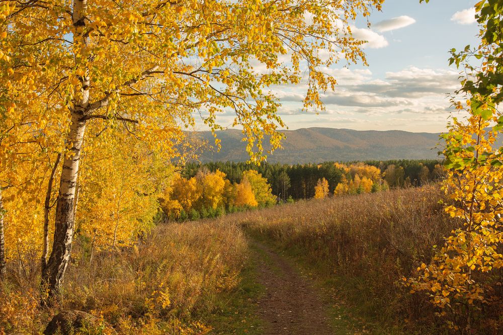 Photograph by Татьяна Афанасьева