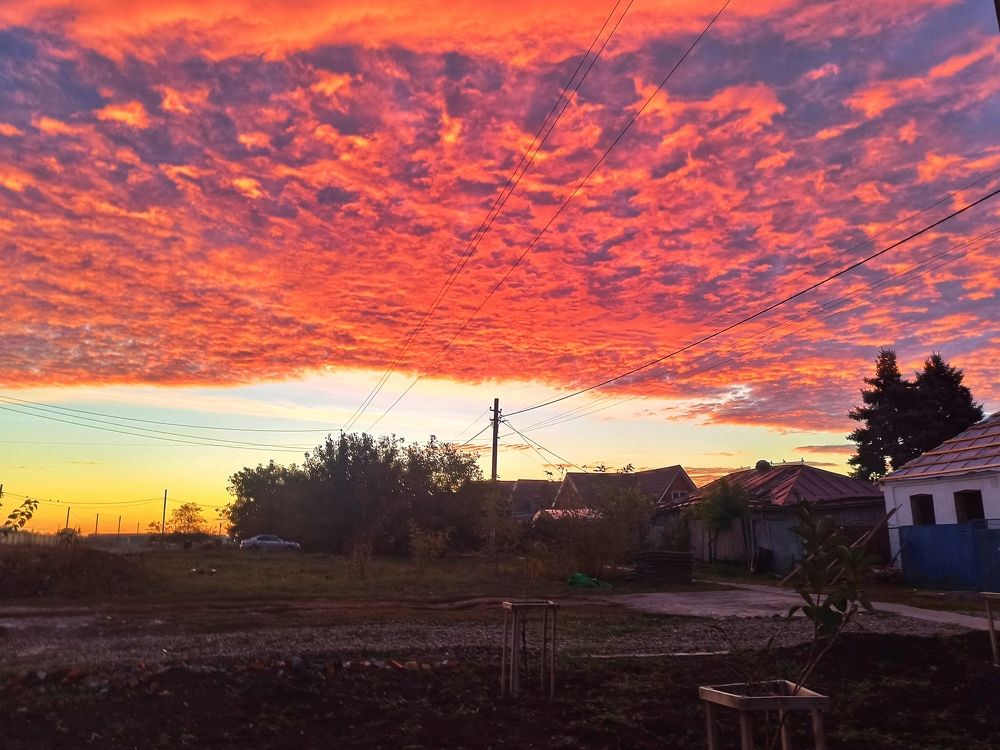 Фотография автора Таня Долгушева