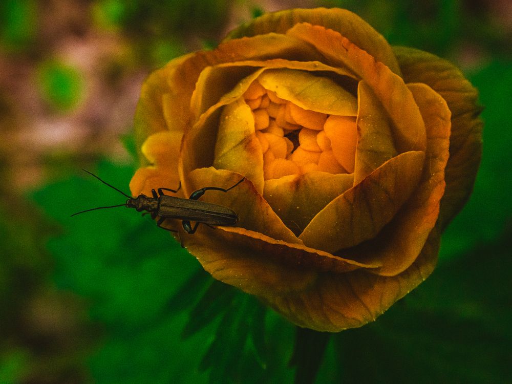 Photograph by Светлана Андреева