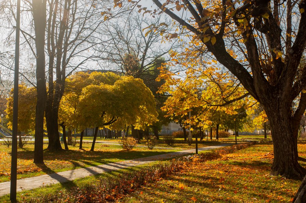 Photograph by Эльвира Халимулина