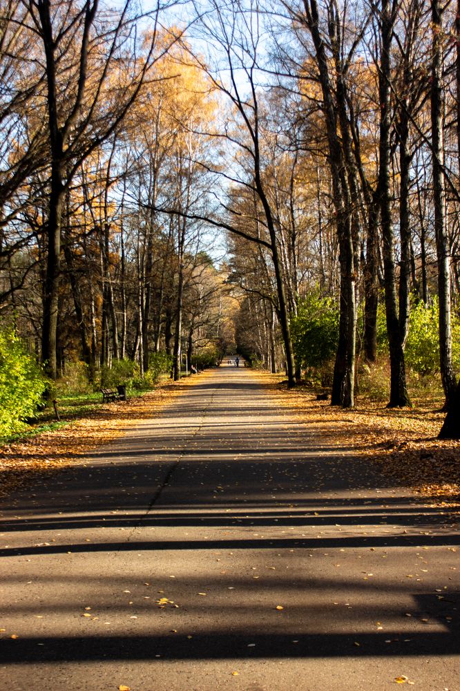 Photograph by Эльвира Халимулина