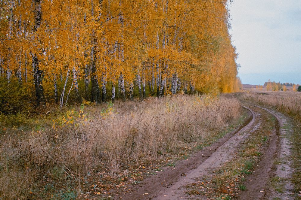 Photograph by Зульфия Вакилова