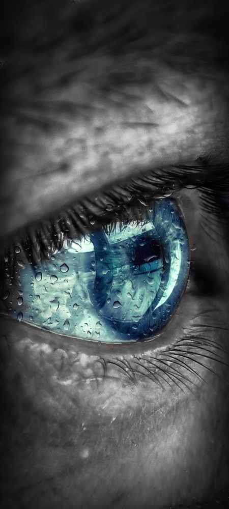 Photograph by Konstantin Martynov