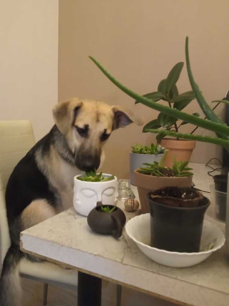 Photograph by Ирина Степановна Азаренкова