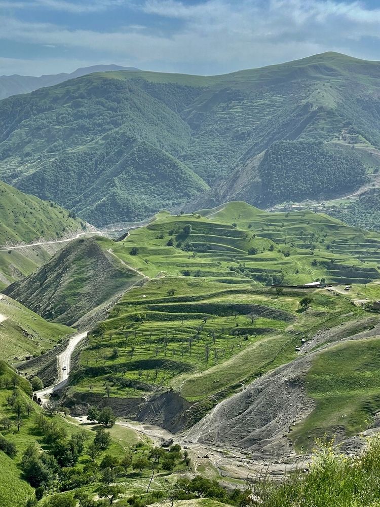 Фотография автора Юлия Недосекина