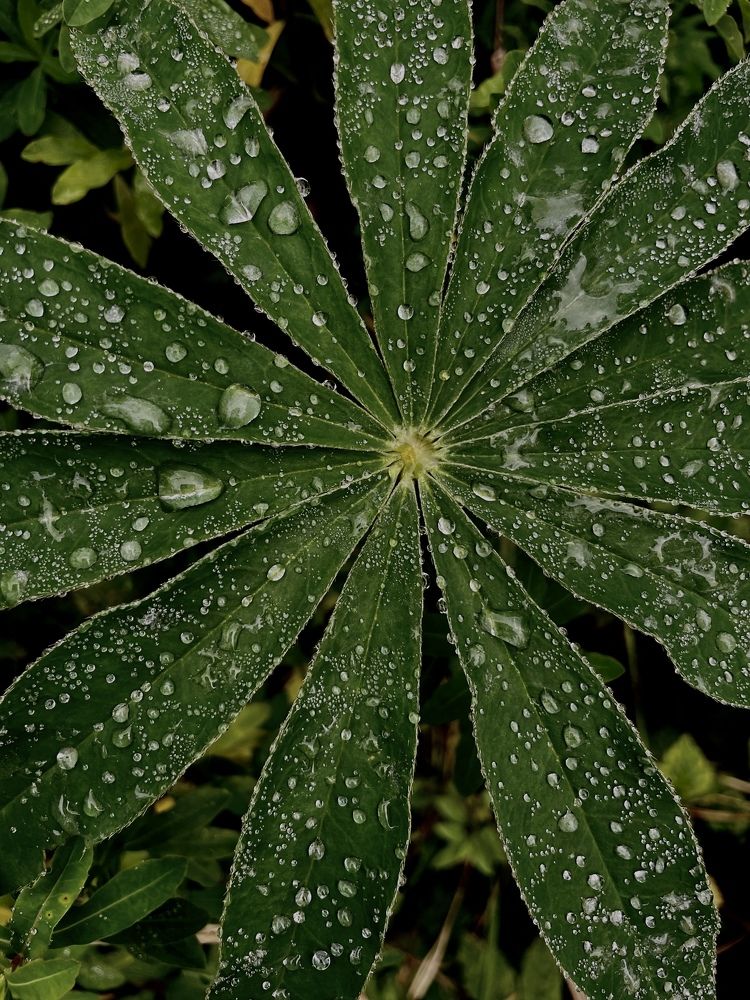 Фотография автора Юлия Недосекина