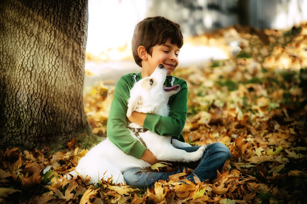 Photograph by DAMOUN POURNEMATI