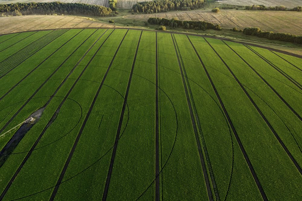 Photograph by  Павел