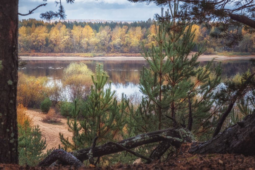 Photograph by Ольга Томилова