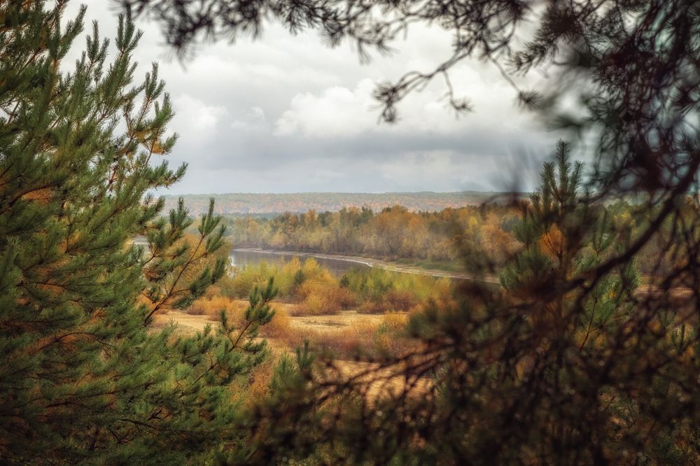 Photograph by Ольга Томилова