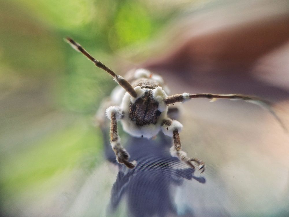 Photograph by dito adithia