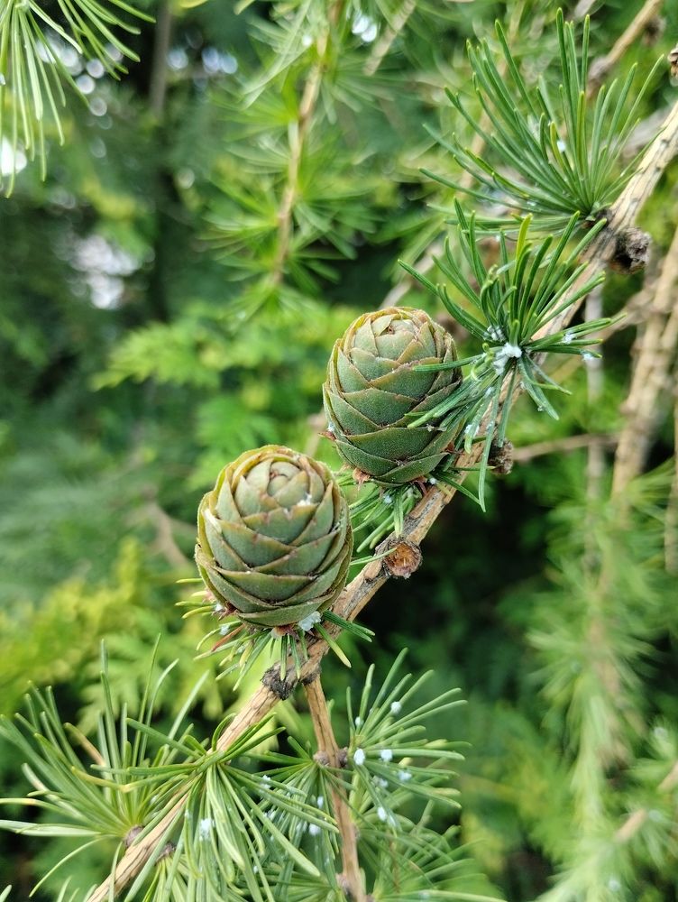 Photograph by Екатерина Супраненок