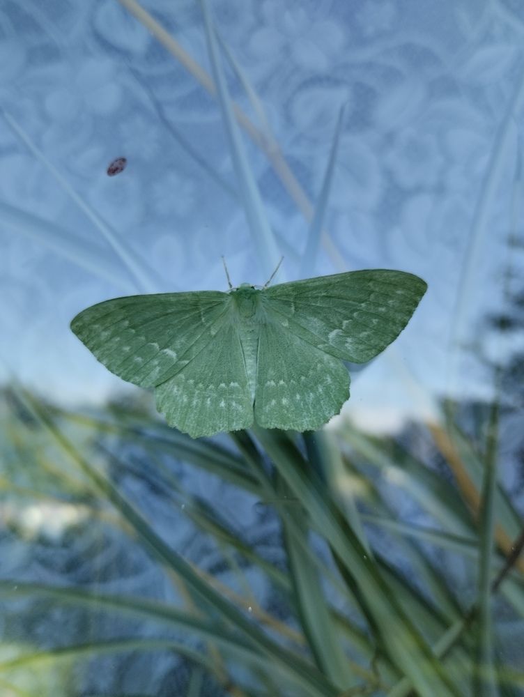 Photograph by Екатерина Супраненок