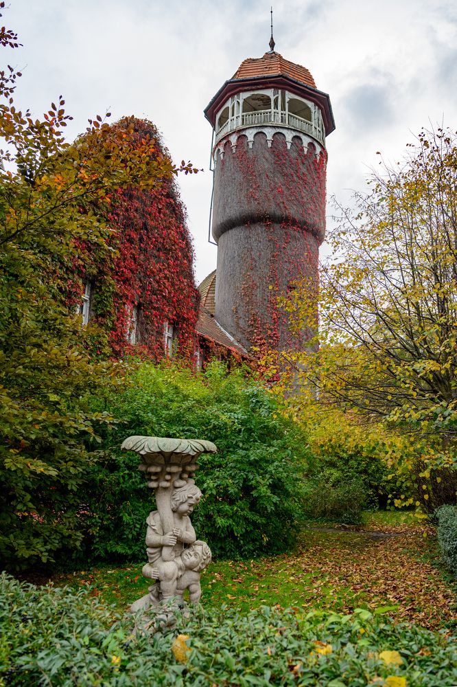 Фотография автора Николай Пугаев