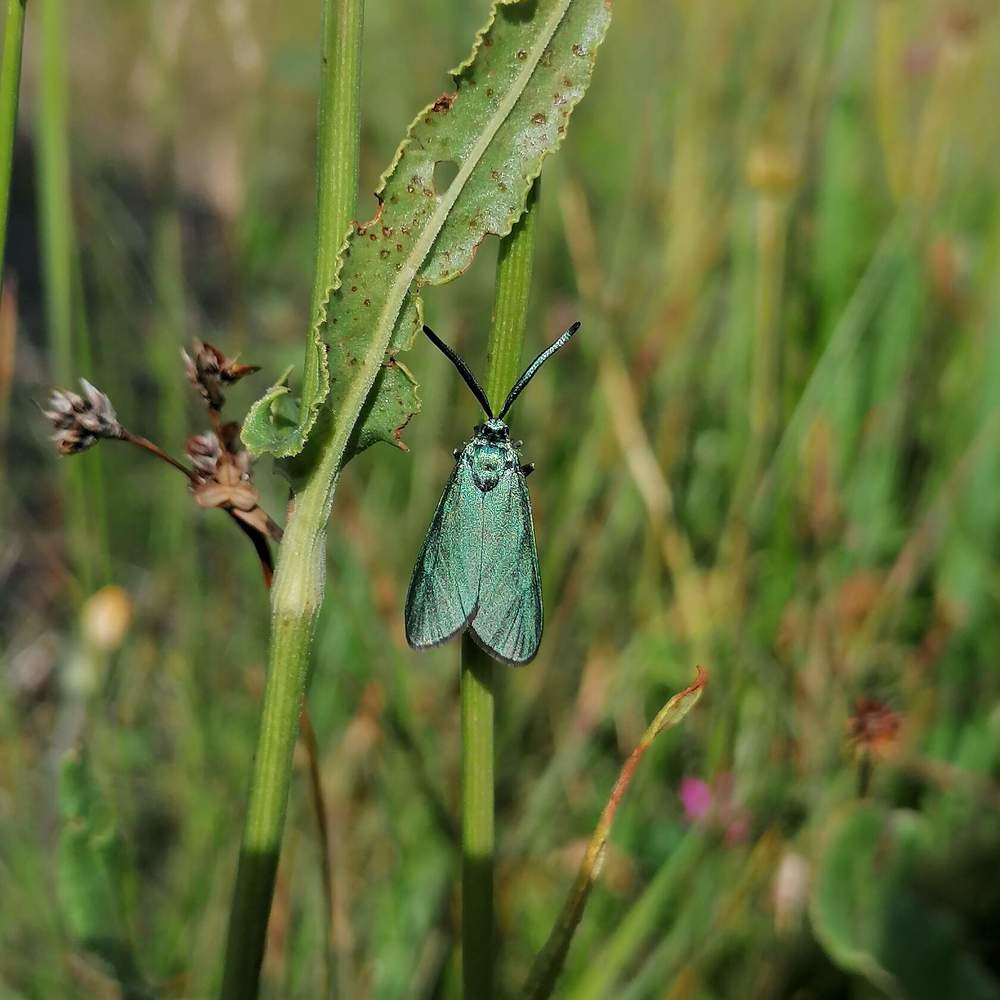 Photograph by Екатерина Супраненок