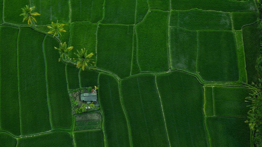 Photograph by Alexey Nikitin