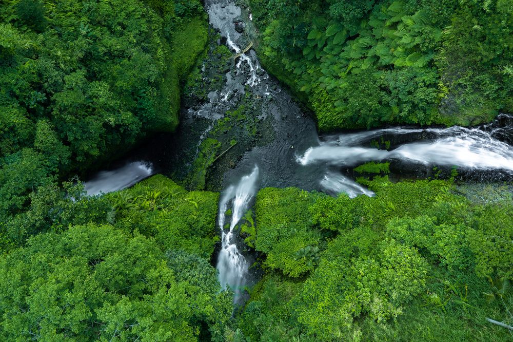 Photograph by Alexey Nikitin