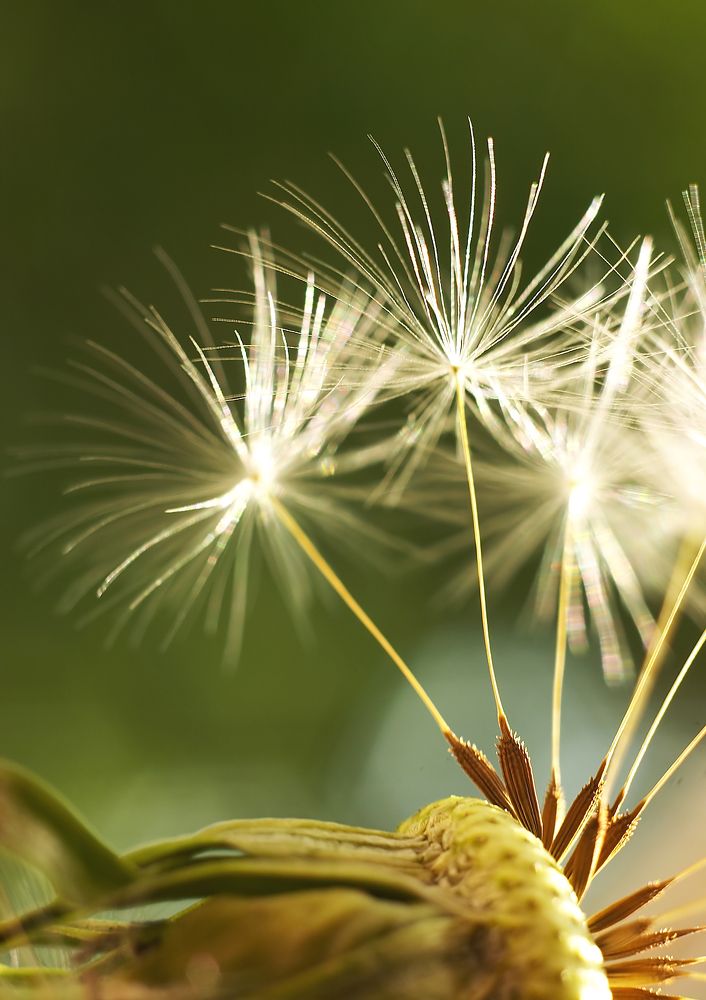 Photograph by  Павел