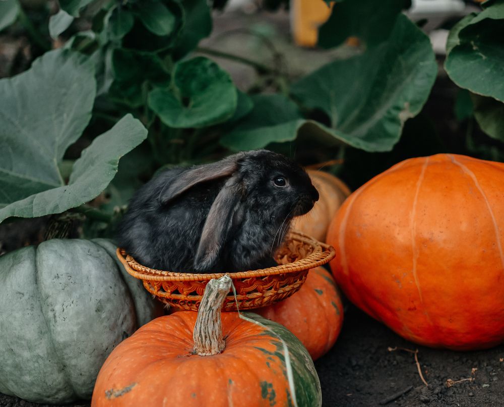 Photograph by Ольга Буянова