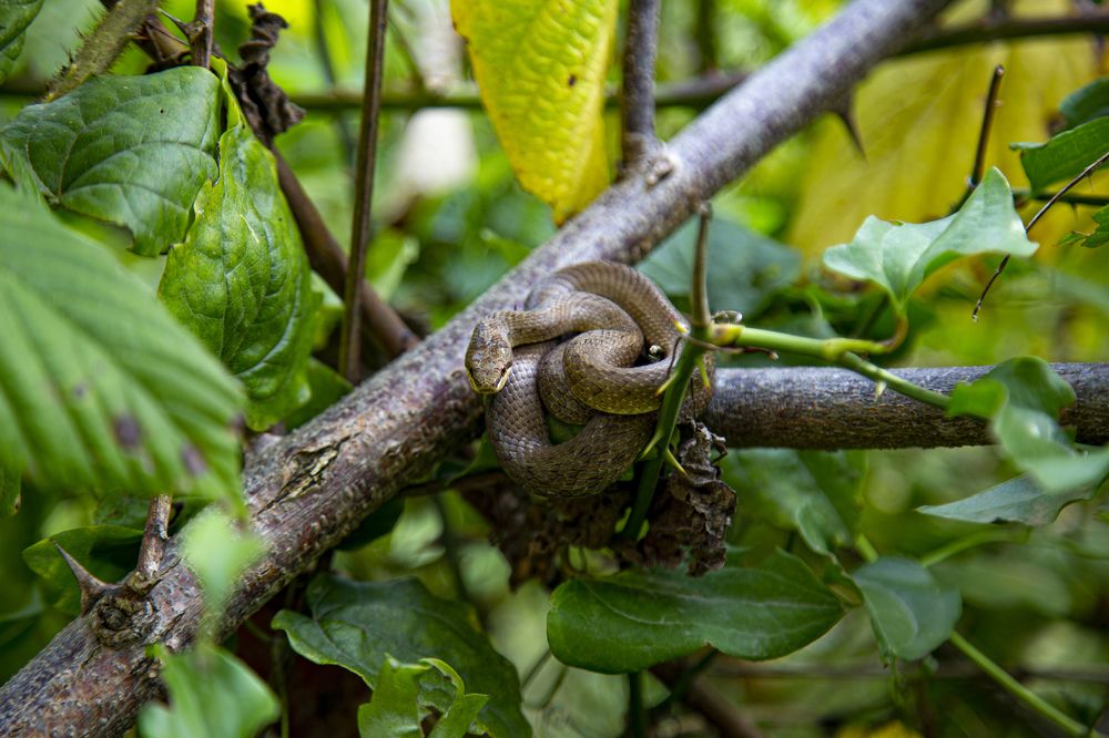 Фотография автора Deniz Tuna