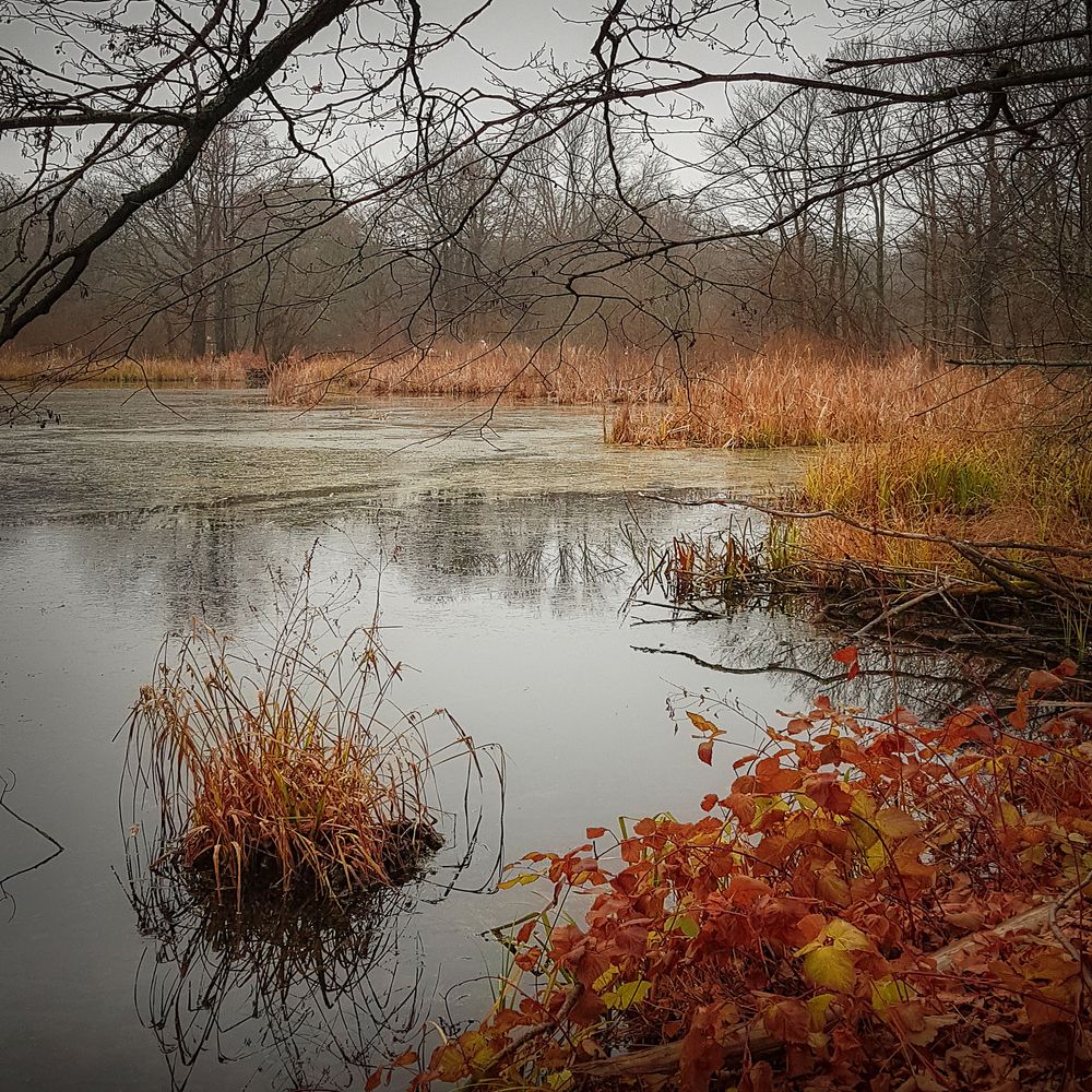 Photograph by Ольга Томилова