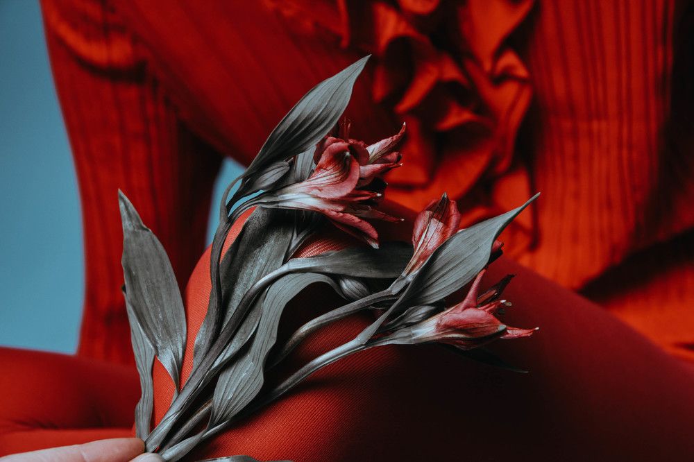 Photograph by Алиса Фредерикс