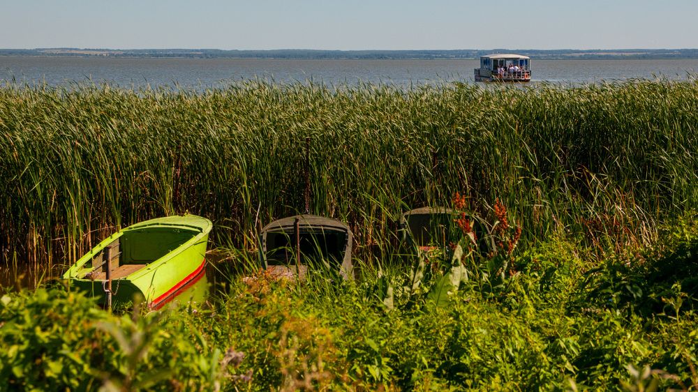 Photograph by Марина Короткова