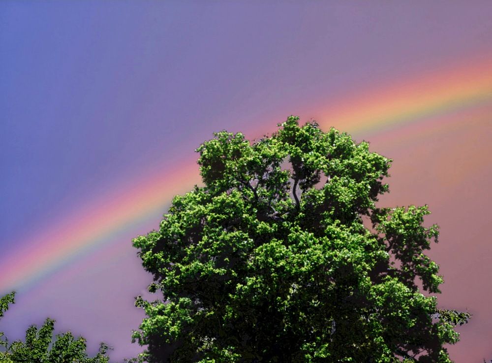 Photograph by Ирина Дубицкая