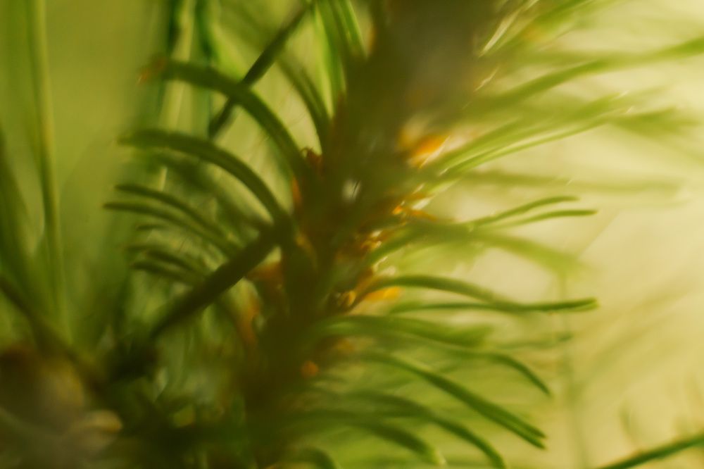 Photograph by Елена Граф