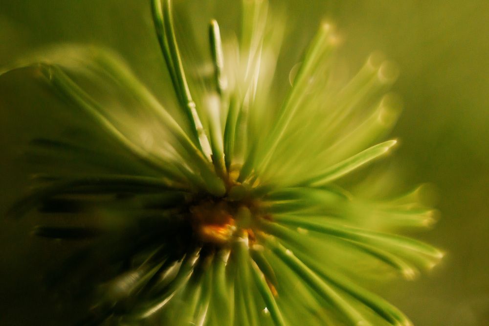 Photograph by Елена Граф