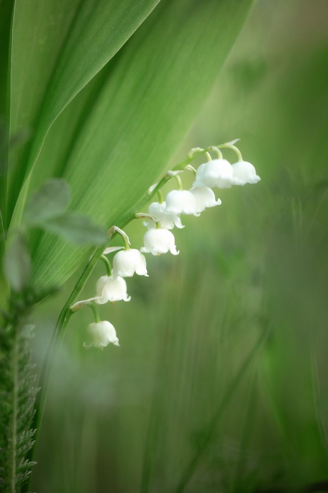 Photograph by Анастасия Петрова