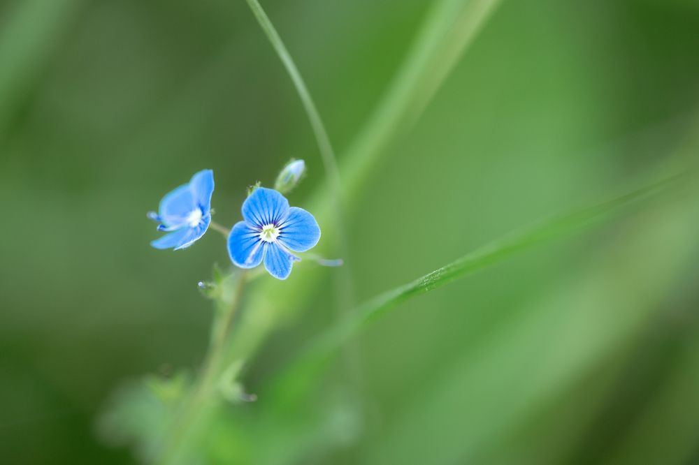 Photograph by Анастасия Петрова