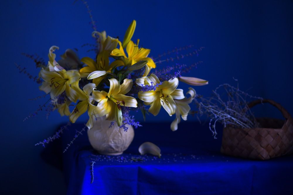 Фотография автора Валентина Петровна