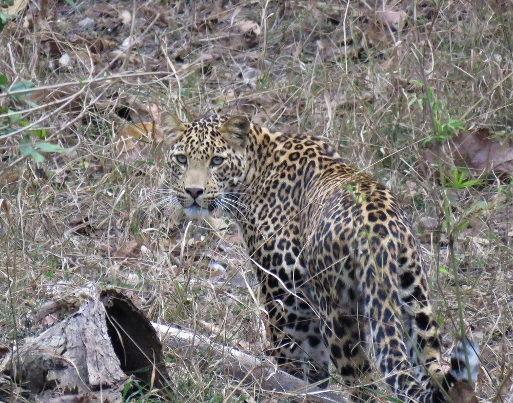 Photograph by ANISH BISWAS