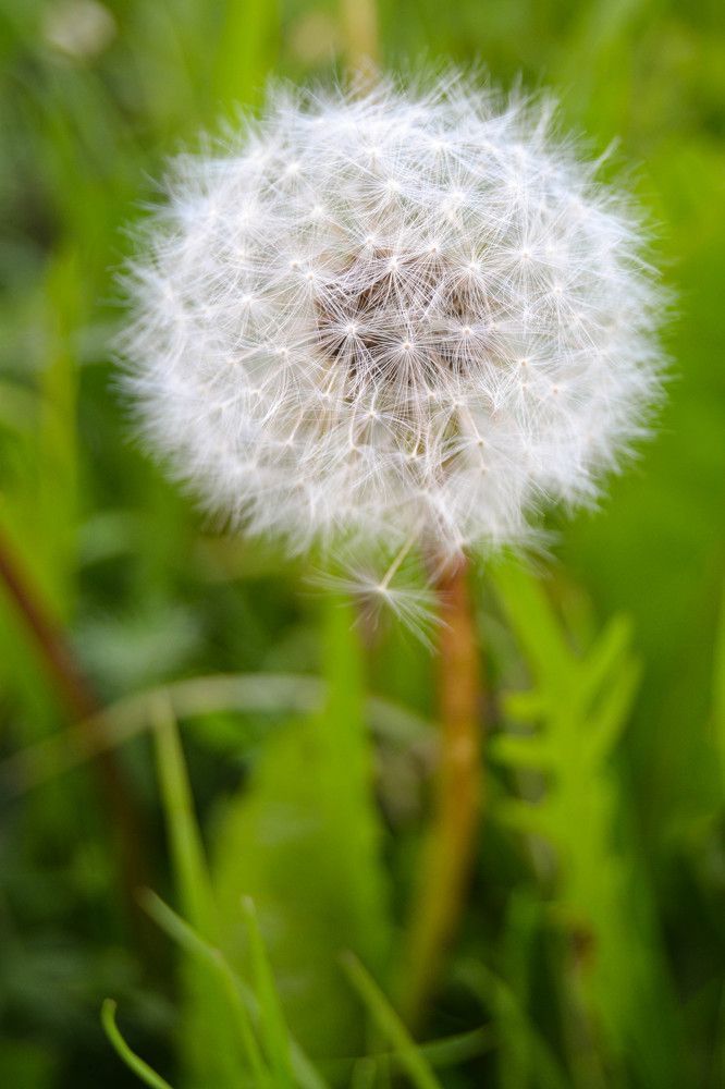 Photograph by Marina Afanaseva