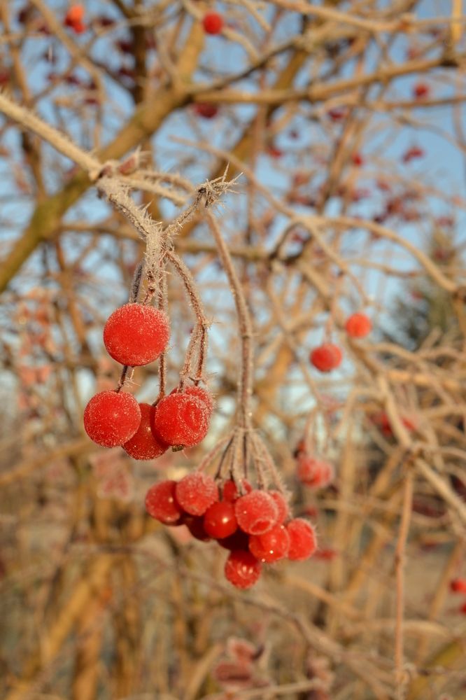 Photograph by Marina Afanaseva