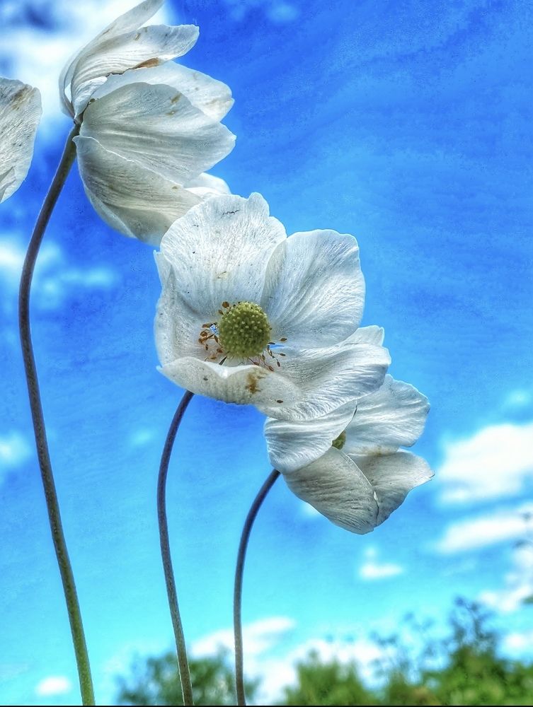 Photograph by Евгения