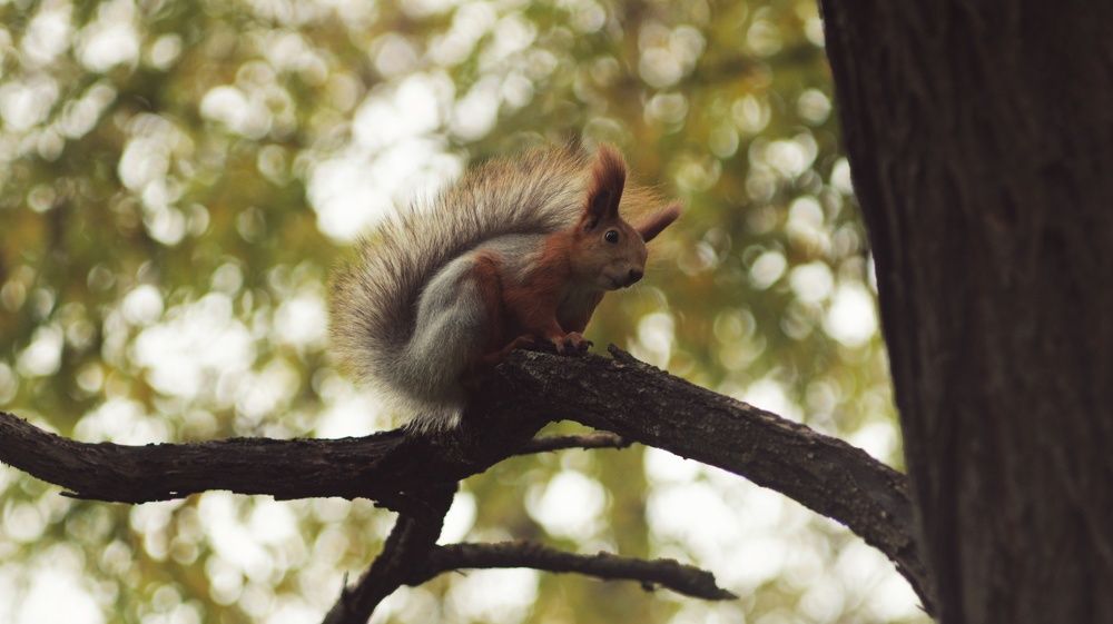 Photograph by Алёна Бондаренко