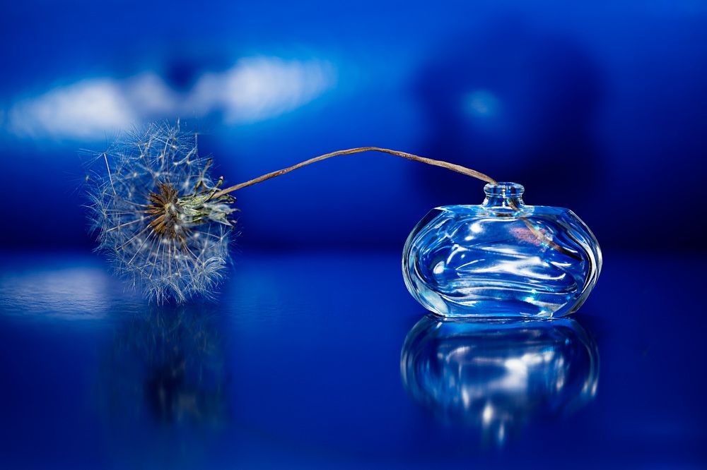 Photograph by Svetlana Frank