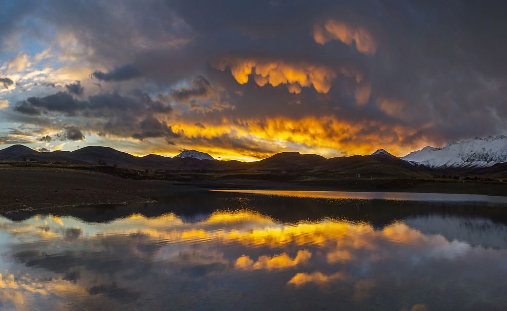 Фотография автора majid arab