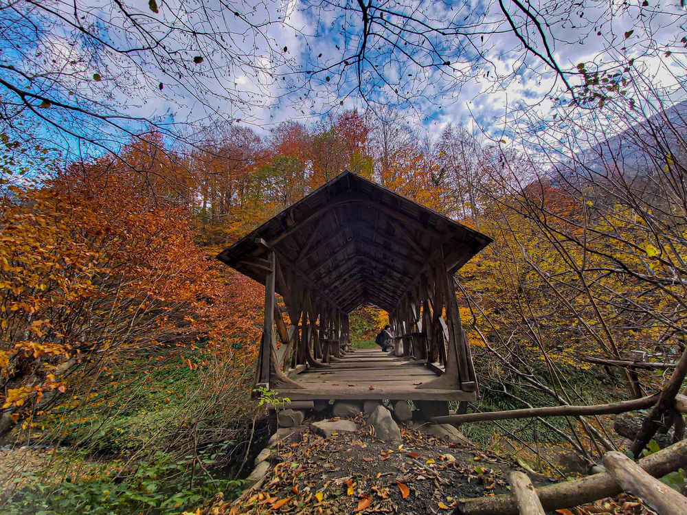 Фотография автора Deniz Tuna