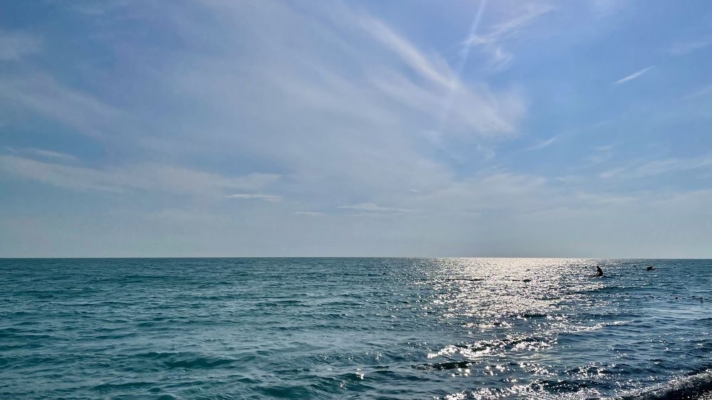 Photograph by Alina Andreevna