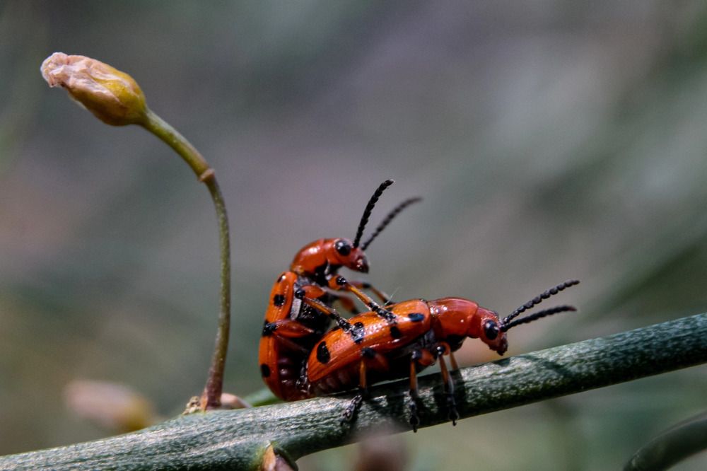Photograph by Наталья Рябоконенко