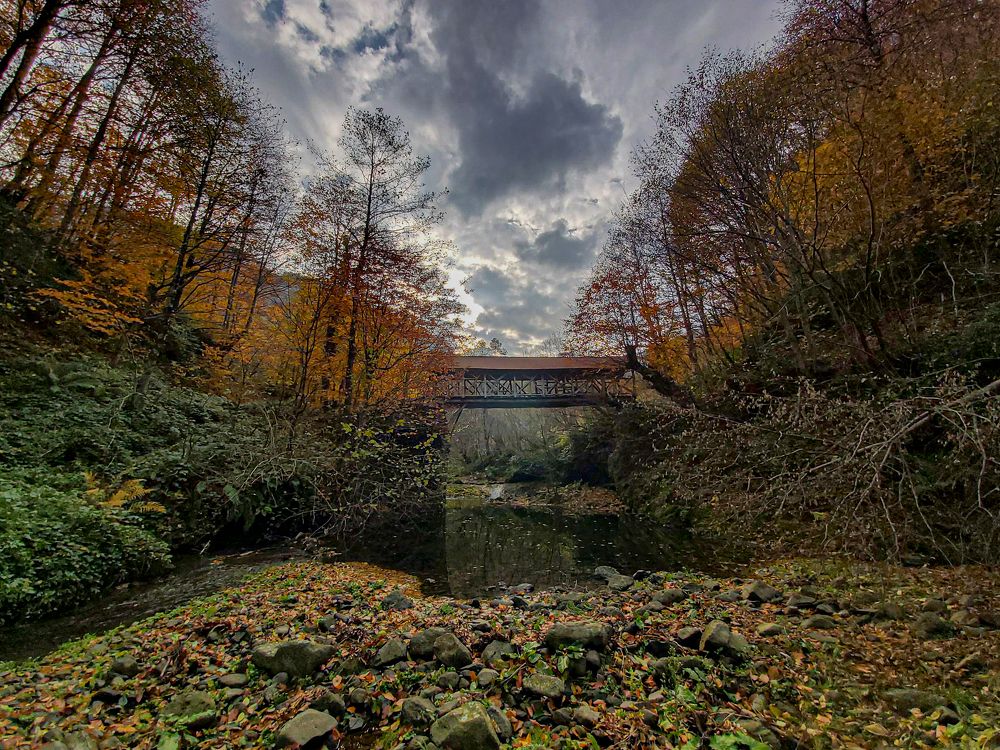 Фотография автора Deniz Tuna