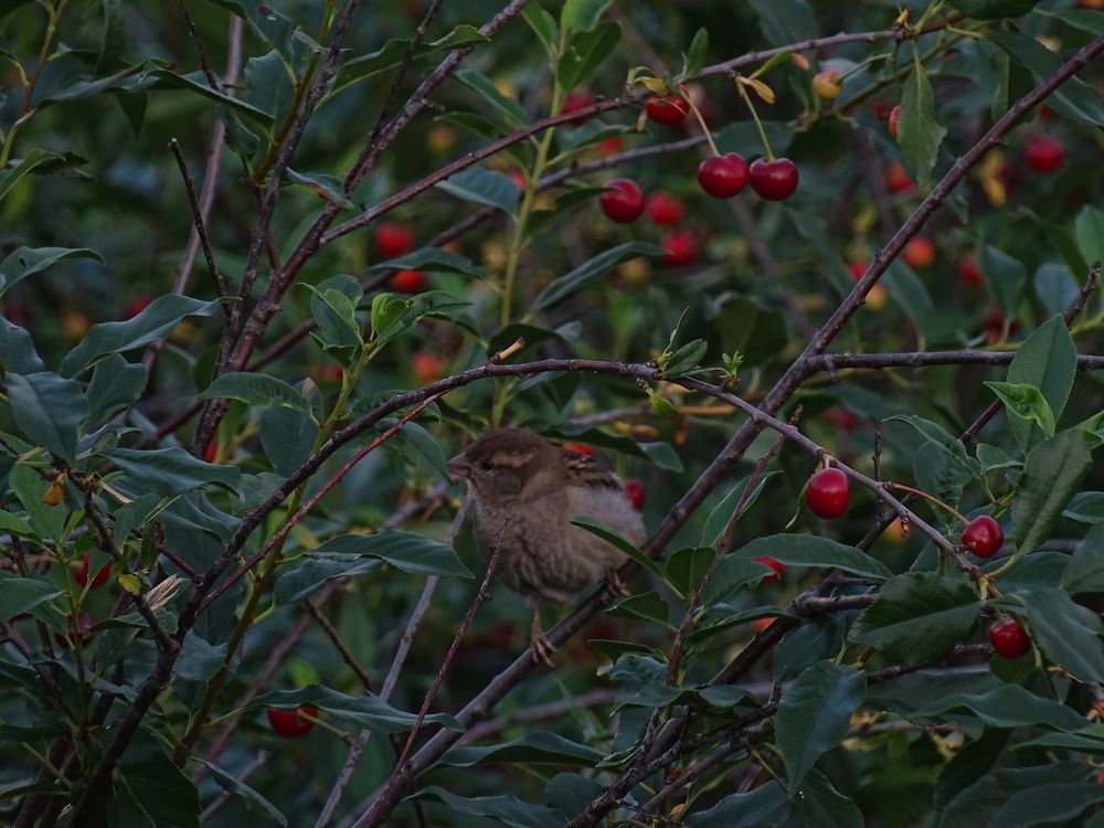 Photograph by Ирина Владимировна