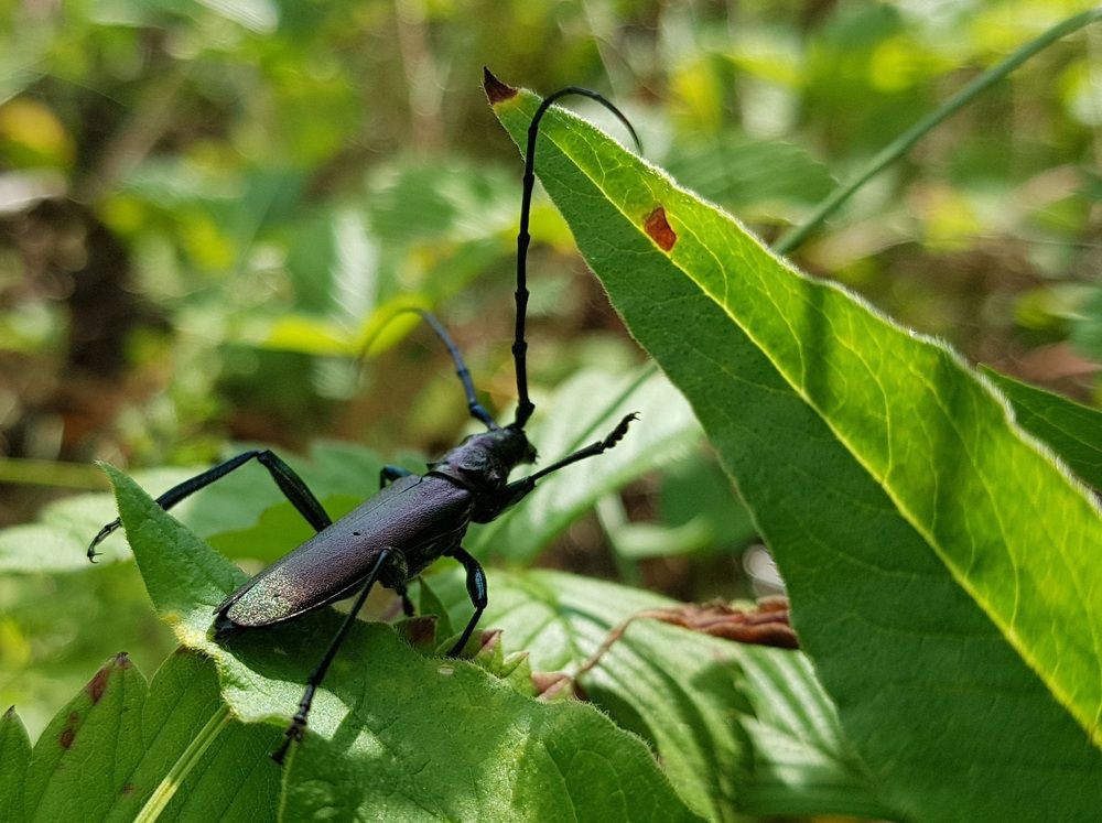 Photograph by Наталья Анисимова