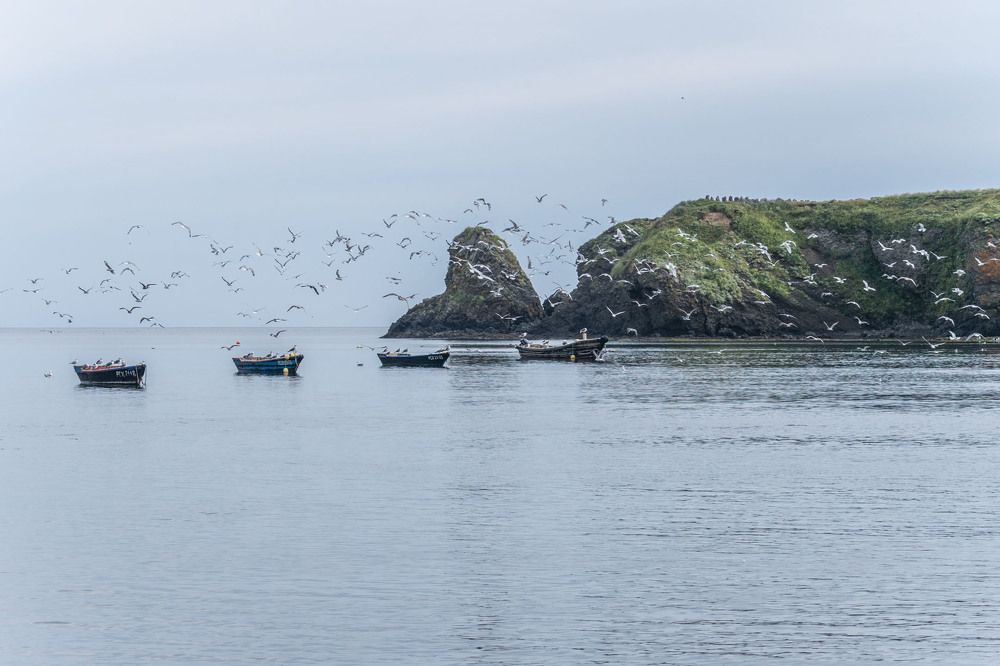 Photograph by Victor Belokrinitski