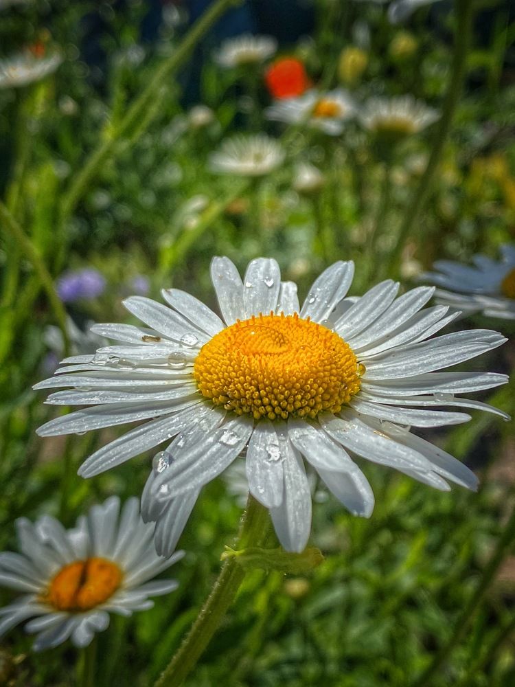 Photograph by Евгения