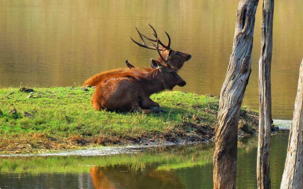 Photograph by ANISH BISWAS