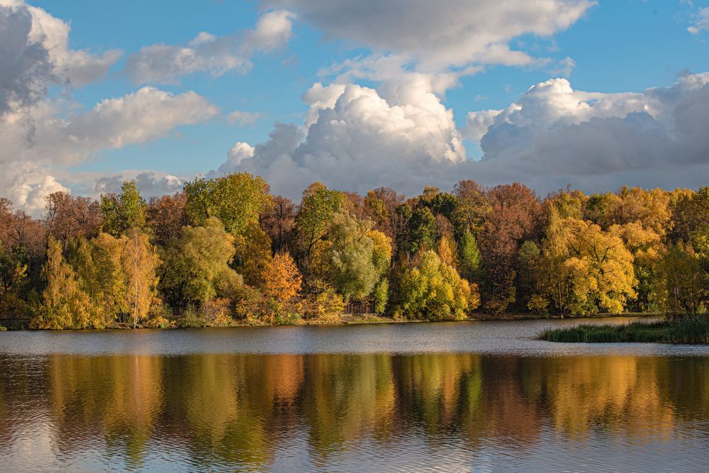 Солнечный аккорд золотой осени...
